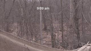 Doe hunts 2020 by Extreme Deer Habitat 1,274 views 3 years ago 3 minutes, 43 seconds