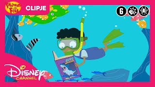 Phineas en Ferb | De perfecte leesplek | Clip | Disney Kids België-Nederland