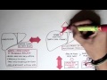 Liver Disease Part I Liver Disease Part I
