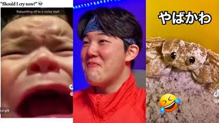 Try Not To Laugh | FUNNY TIKTOK VIDEOS pt38 #ylyl