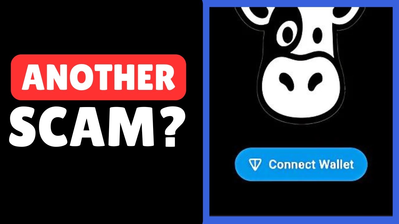 Real Cow House Airdrop Real or Fake | BEWARE THIS SCAM! (2024)