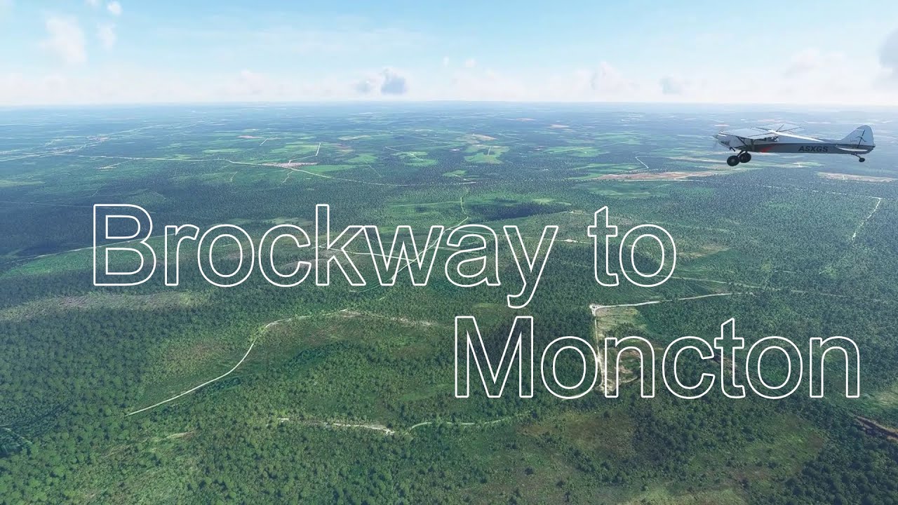 The New Brunswick Forestry Apocalypse: Brockway to Moncton #clearcutting #newbrunswick