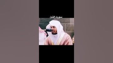 سورة التين🍃 الشيخ ياسر الدوسري🍃 حالات واتس اب 🍃