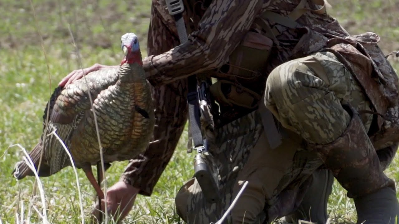 Turkey Hunting Tip: Are You Putting Your Decoys Close Enough? - YouTube