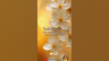 #آيات #قرآن #قران_كريم #سورة #اسلام #اكسبلور #اكسبلور_explore #quran #explore