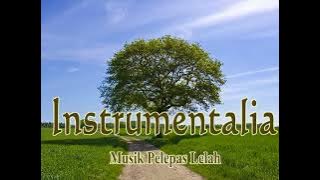INSTRUMENT PELEPAS LELAH