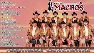 Banda Machos 20 Exitos 2021 - Puros Corridos Perrones 2021