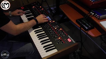 Dave Smith Prophet 12 part.1 | No Talking |