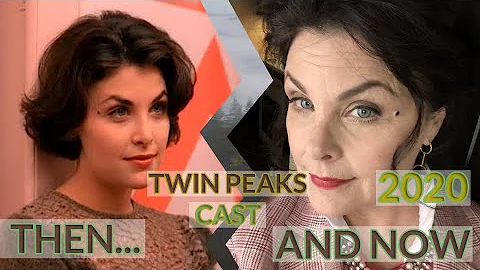 Is the new Twin Peaks a remake?