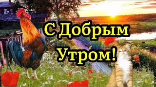 С Добрым Утром! Счастья И Удачи! Музыкальная Открытка Пожелание! Сергей Чекалин!