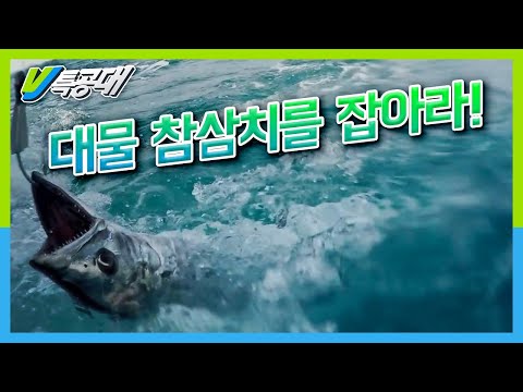 [VJ 특공대] 바다의 폭주족, 대물 참삼치를 잡아라!!! KBS 180302 방송