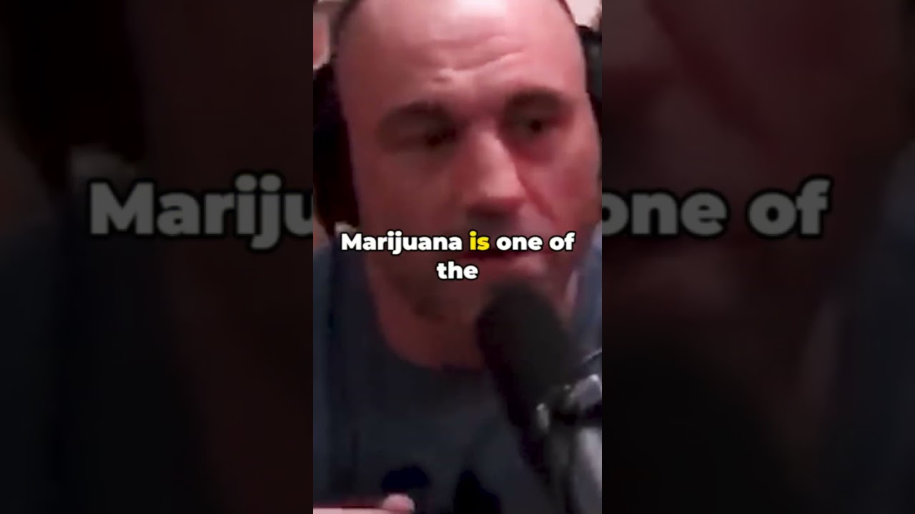Joe Rogan's Top 5 Most Heated Moments 