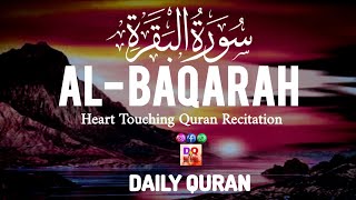 Surah Al Baqarah Full 🕋 (سورة البقره) HEART TOUCHING QURAN 🕌 RECITATION | DAILY QURAN 🤲| 2 June 2024