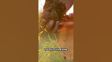 The Real Reason Bare Soil Fails — And the Research That Proves It