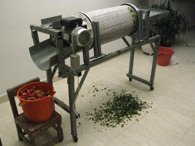 cortador de frutas N / A 1 pieza de fresa Hullers para quitar tallos de frutas tallos de tomate descorazonadores de fresa