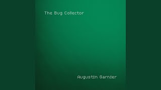 The Bug Collector (Piano) chords