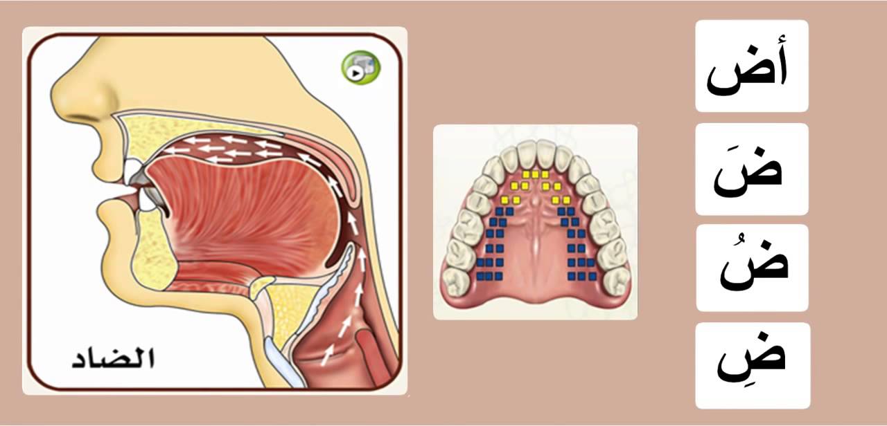 Practicing The Letter ضاد Youtube Practicing The Letter ضاد Youtube