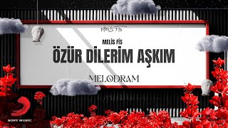 Melis Fis - Özür Dilerim Aşkım (Official Lyric Video) Resimi