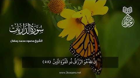 دقيقتين من سورة الذاريات - الشيخ محمود محمد رمضان