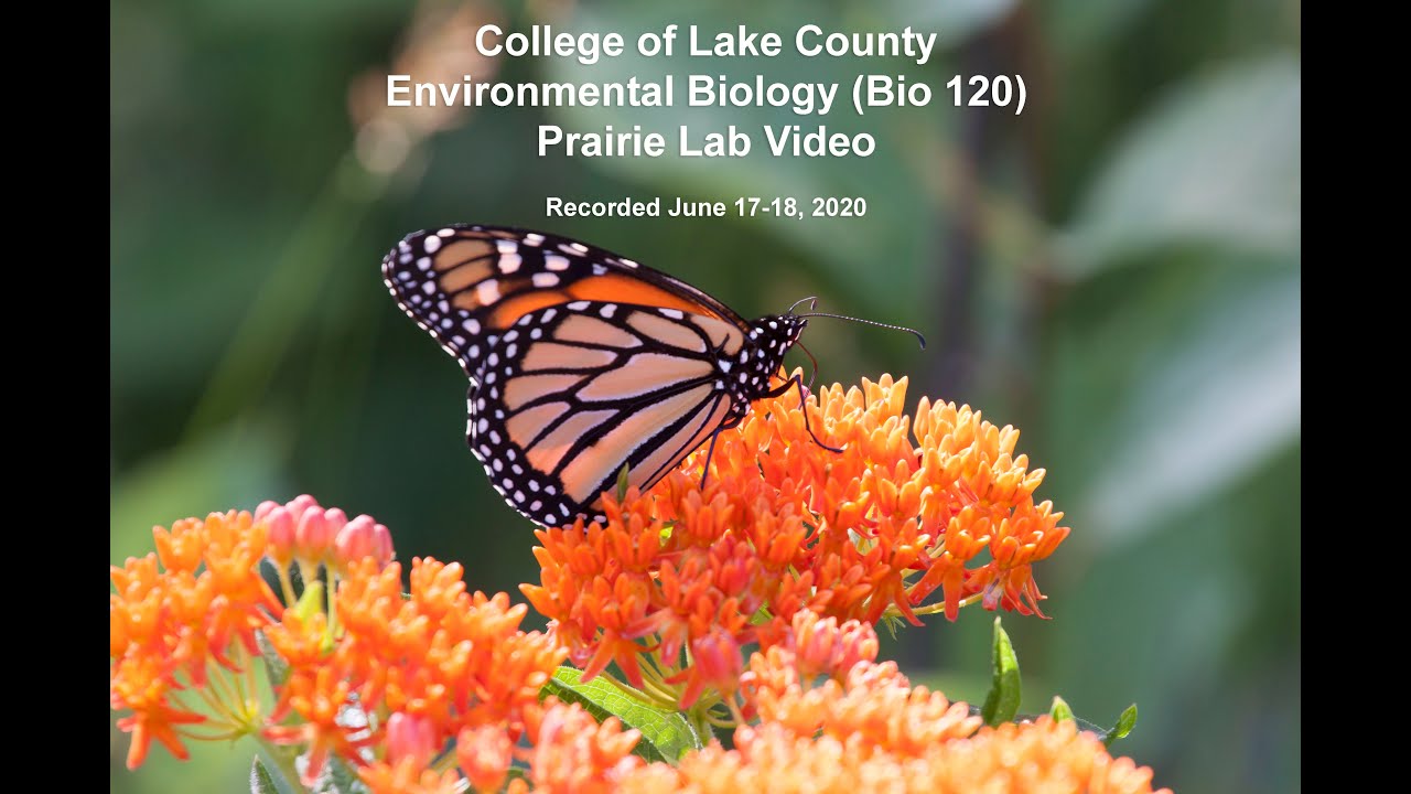 CLC Prairie Lab