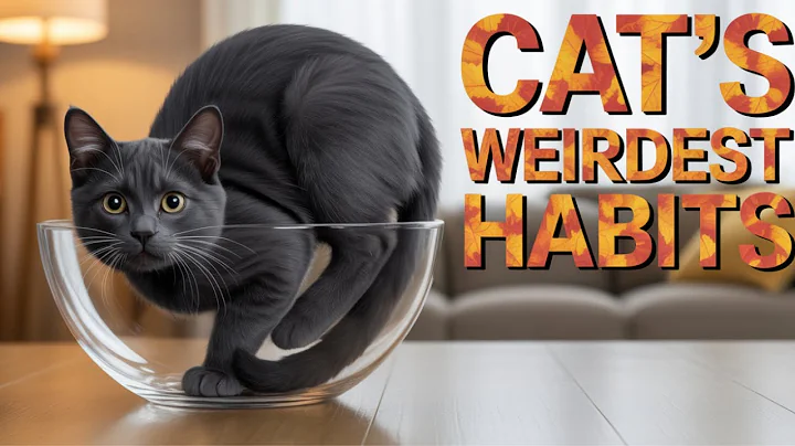 10 Strangest Cat Behaviors Explained!
