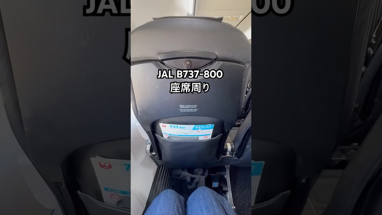JALのA737-800はシックなブラック