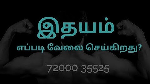 Chapter 6 - Cardiovascular system