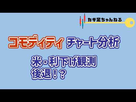 コモディティ チャート分析　米・利下げ観測後退！？【カギ足職人の相場解説】