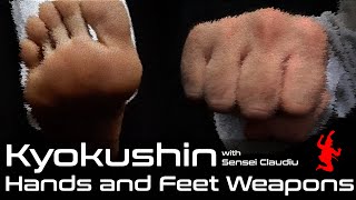 Karate Hands And Feet Weapons