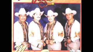 Video thumbnail of "Los Hermanos Vega La Vibora Peligrosa"