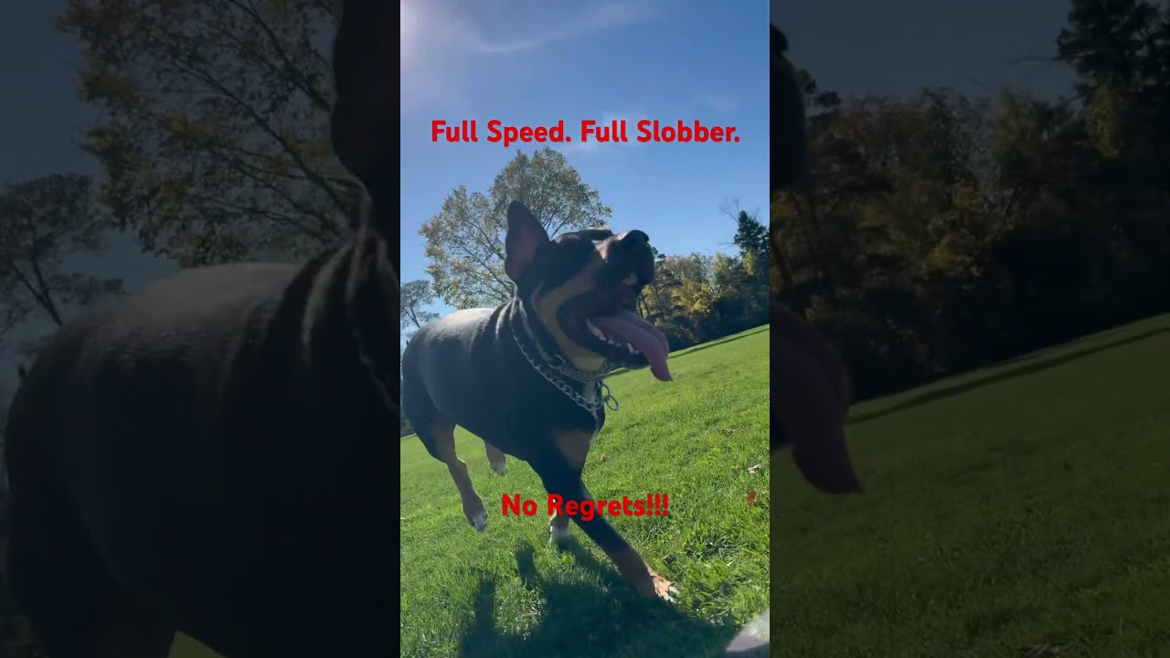 When the soul leads, even the slobber’s divine   