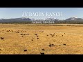 Luxury Ranch near Jackson, Montana