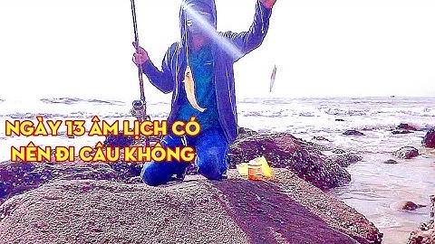 đi câu 🐟 đục bãi biển vũng tàu mà gây cần câu
