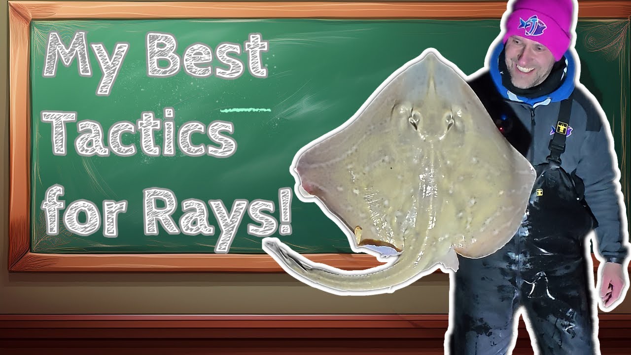 Лучшие советы по ловле скатов на пляже! | Советы экспертов для любителей прибрежной рыбалки