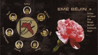 Şehîd Alî Temel - Şitla Azadî Resimi