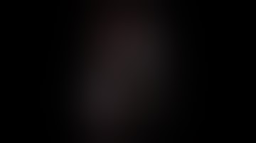 1919 - A Wine Inspired by Art