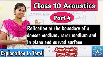 Reflection at the boundary of a denser medium, rarer medium and in plane and curved surface
