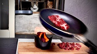 Grilling beef for stray cats in my room [filmed in Korea]