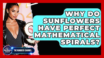 Why Do Sunflowers Have Perfect Mathematical Spirals? - The Numbers Channel