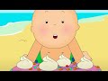 Caillou e a Festa na Praia | Caillou em Português - WildBrain