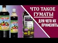 ЧТО ТАКОЕ ГУМАТ Какие бывают и что дают растениям