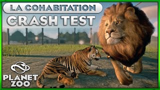 La COHABITATION des Animaux dans Un ENCLOS | Crash test | PLANET ZOO
