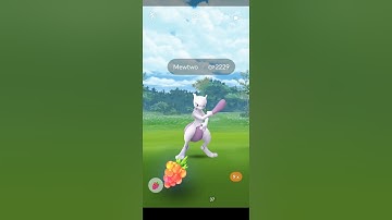 First EX Raid Battle + Mewtwo Catch