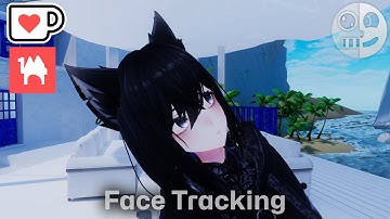 Lasyusha/ラシューシャ - Face Tracking Add on