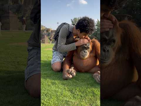 مش عايزة تتصالح