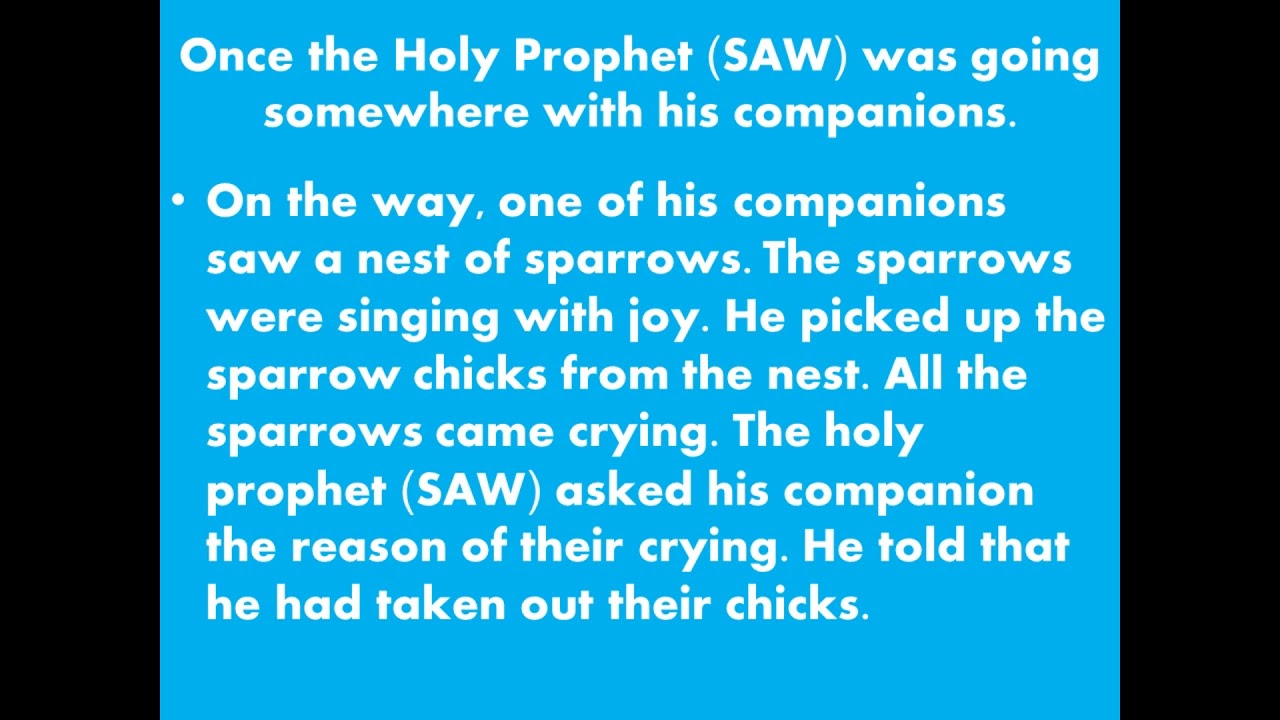 the kindness of holy prophet short essay