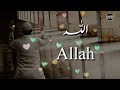 Muhabbat k sajday 🌹|| Whatsapp Status || Islamic🌹|| Heart Touching Naat