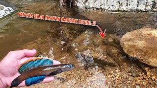 EXTRIME...!! MANCING CHANNA LIMBATA DISUNGAI INI HARUS BERNYALI BESAR || Spot Mancing Channa Limbata