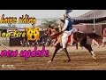 horse riding new video beautiful horse fiding new update