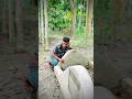 পাগল যখন কবরের সাথে কথা বলে || পাগলটা কী ঠিক কথা বলচে..?? কমেন্টে যানাবেন || ২০২৫ ইং